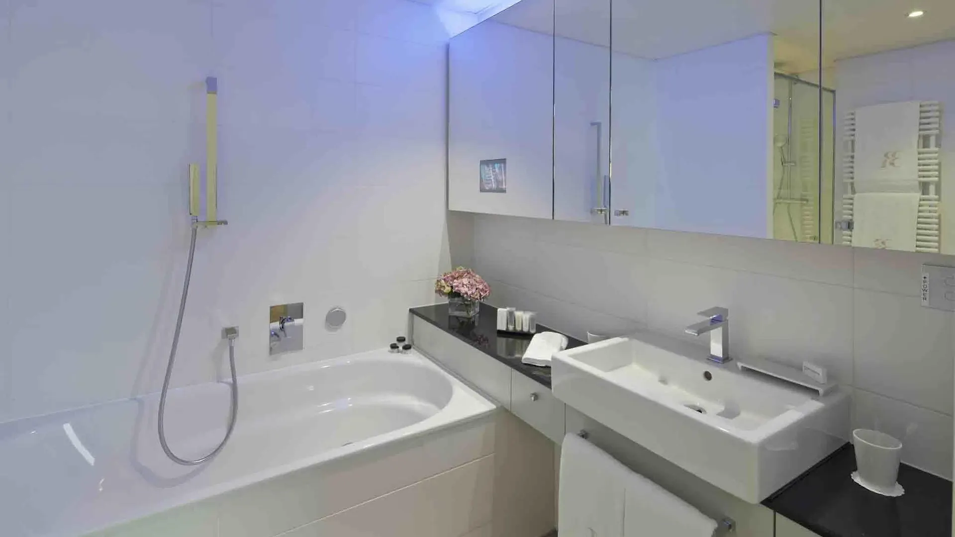 Swiss Luxury Apartments Ginebra Hotel